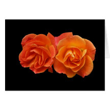 Card, Two Perfect Apricot Roses"