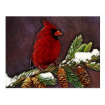 Cardinal and Pinecones Post Cards