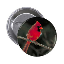 Cardinal Pinback Buttons