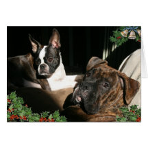 Cards:  Cute Pups