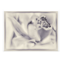 Cards, Orchid in Lavender Template Flora Custom Announcement