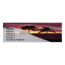 Caribean Travel Business Card