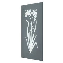 Carnation Canvas Prints