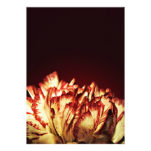 Carnation Fire invitations