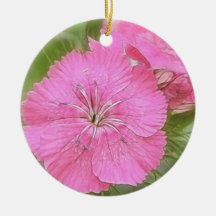 Carnation Pink Sweet Williams Christmas Tree Ornament