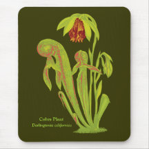 Carnivorous Plant Cobra Plant Mousemats