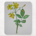 Carolina Jasmine Mousepads