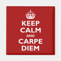 Carpe Diem! Refrigerator Magnet
