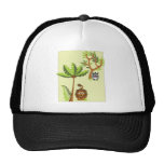 Cartoon Jungle (Lion, Zebra) Mesh Hats
