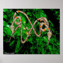 Cartoon Jungle Snake Poster