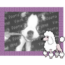 Cartoon Standard/Miniature/Toy Poodle (show cut) Photo Cutout