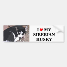 Cartoon sticker of a husky pup bumper sticker