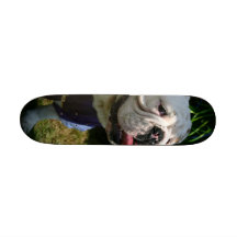 casper skate decks