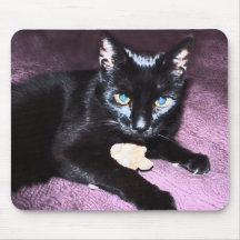 cat and mouse mouse mats