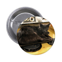 Cat Baked Pins