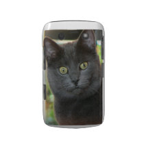 Cat BlackBerry Bold Case
