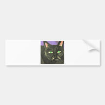 cat by eric ginsburg bumper sticker