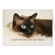 Cat-I know-226 Cards