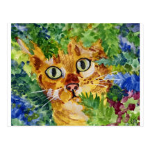 Cat in Hiding Post Cards