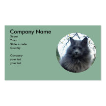 Cat 'Kyra' in a tree Business Card Template