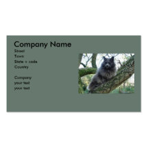 Cat 'Kyra' in a tree Business Card Templates