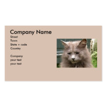 Cat 'Kyra' portrait Business Card Templates