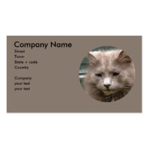 Cat 'Kyra' portrait Business Cards