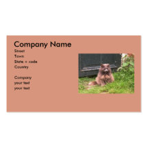 Cat 'Kyra' sitting in the grass Business Cards