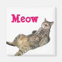 Cat Magnet