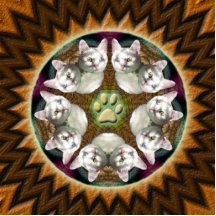 Cat Mandala magnet photo sculpture