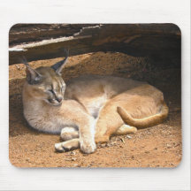 Cat Mouse Pad