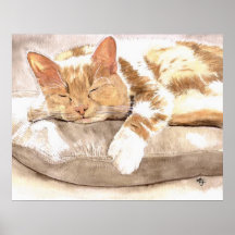 Cat Nap Canvas Print
