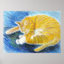 Cat Nap Fine Art Poster Print
