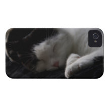 Cat Nap iPhone 4 Covers