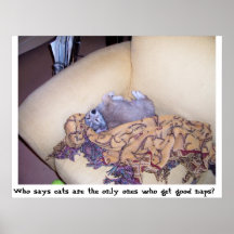 Cat nap my tail poster