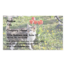Cat Next To The Red Tulips On The Garden Business Card