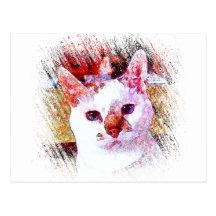CAT PORTRAIT ANGEL POST CARDS