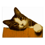 Cat Reclining Post Card