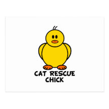 Cat Rescue Chick Post Cards