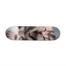 cat skate board