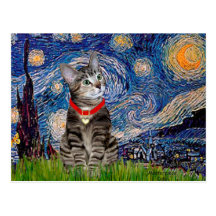 CAT (Tabby2) - Starry Night Post Card