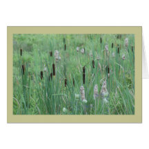 Cat Tail Meadow Greeting Cards