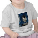 Cat Tee Shirts