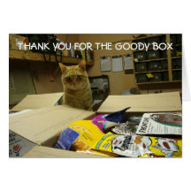 Cat thank you note card