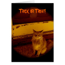 Cat Trick or Treat Card