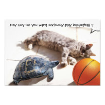 CAT ,TURTLE  AND BASKETBALL ART PHOTO