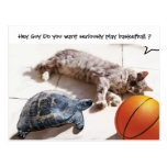 CAT ,TURTLE  AND BASKETBALL POST CARD