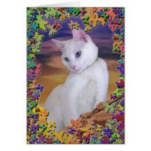 Cat with butterflies cards