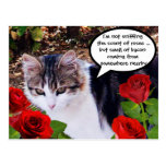 CAT WITH RED ROSES POST CARD