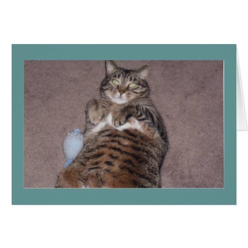 Cat With Tude Birthday Card